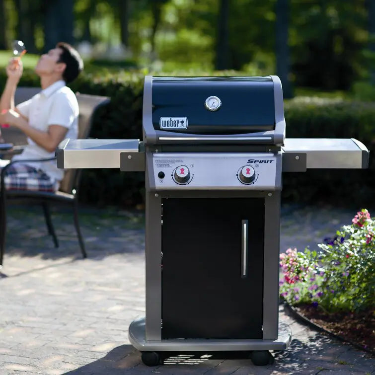 Weber Griddles E-210 2-Burner Propane Gas Grill with Cabinet